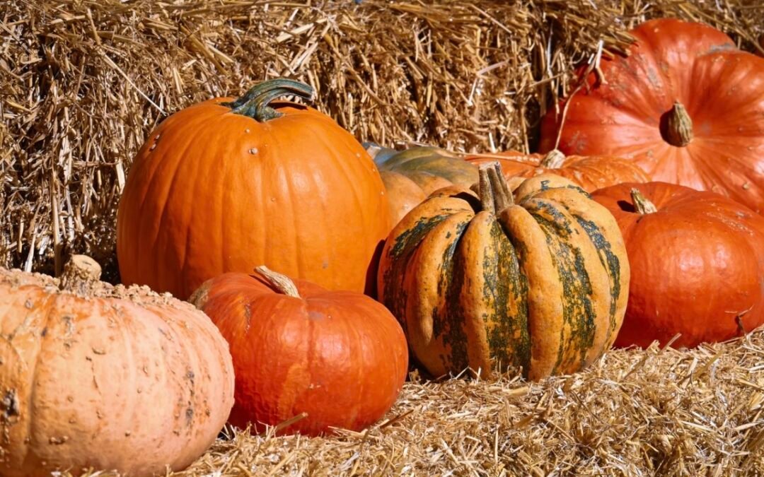 Read the October Newsletter